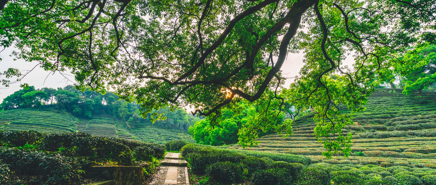 天津网站建设_乐竞平台